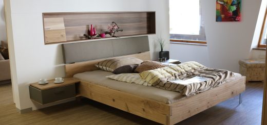 Hôtels à Mulhouse : comment éradiquer efficacement les punaises de lit ?
